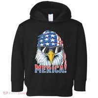 Eagle Merica 4th Of July Merica American Toddler Hoodie thumb 0