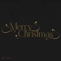 Elegant Merry Christmas Toddler Hoodie thumb 2