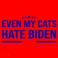 Even My Cats Hate Biden Funny Anti Biden FJB Santa Hat thumb 1