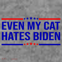 Even My Cat Hates Biden Funny Anti Biden FJB Toddler T-Shirt thumb 4
