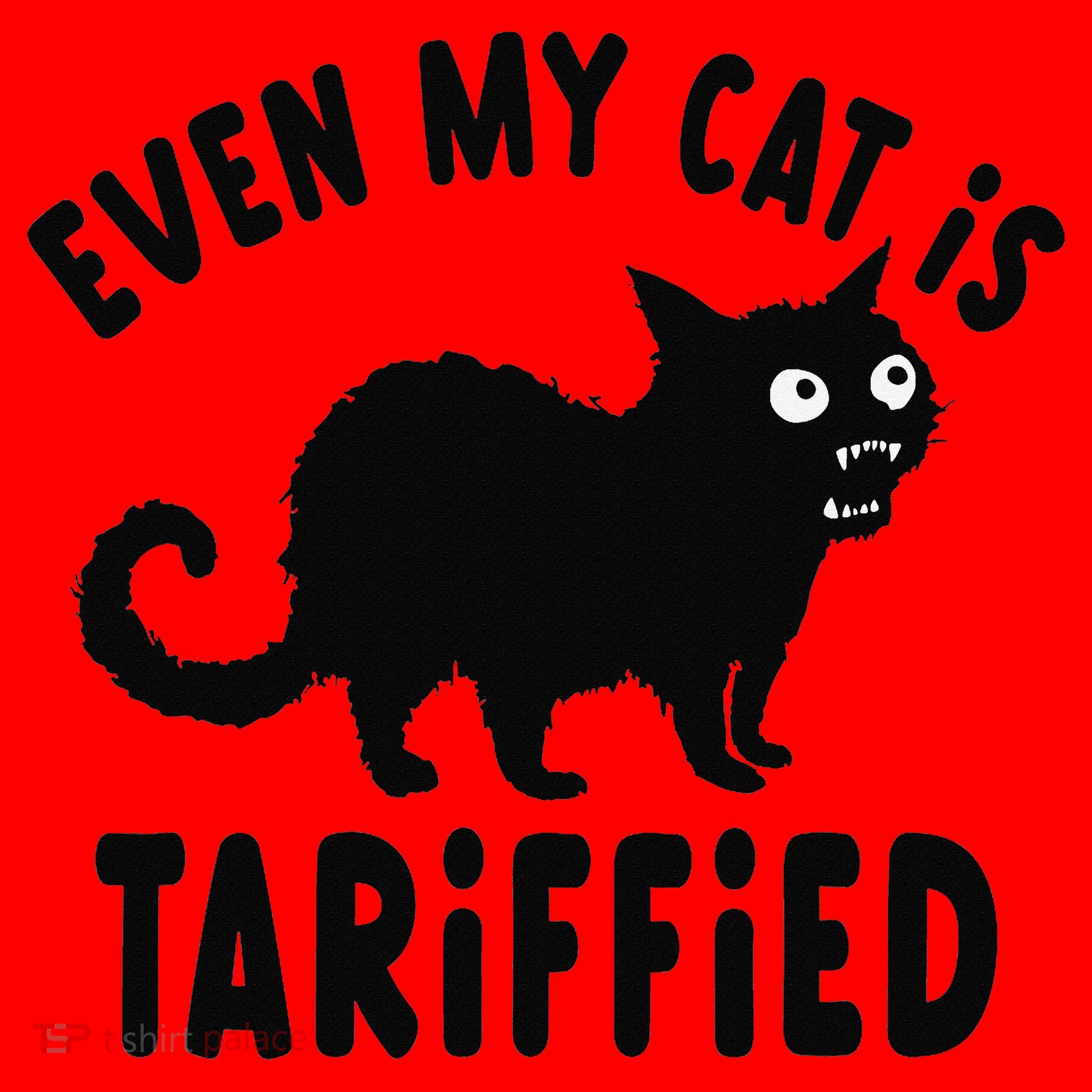 Even My Cat Is Terrified Funny Creepy Cat Face Scary Kitten Santa Hat
