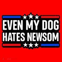 Even My Dog Hates Gavin Newsom Santa Hat thumb 1
