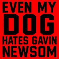 Even My Dog Hates Gavin Newsom Funny Politics Santa Hat thumb 1