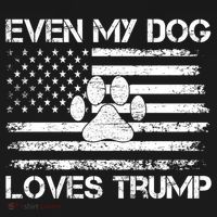 Even My Dog Loves Trump Usa Flag Election Trump Support Gift Women's Hoodie thumb 2