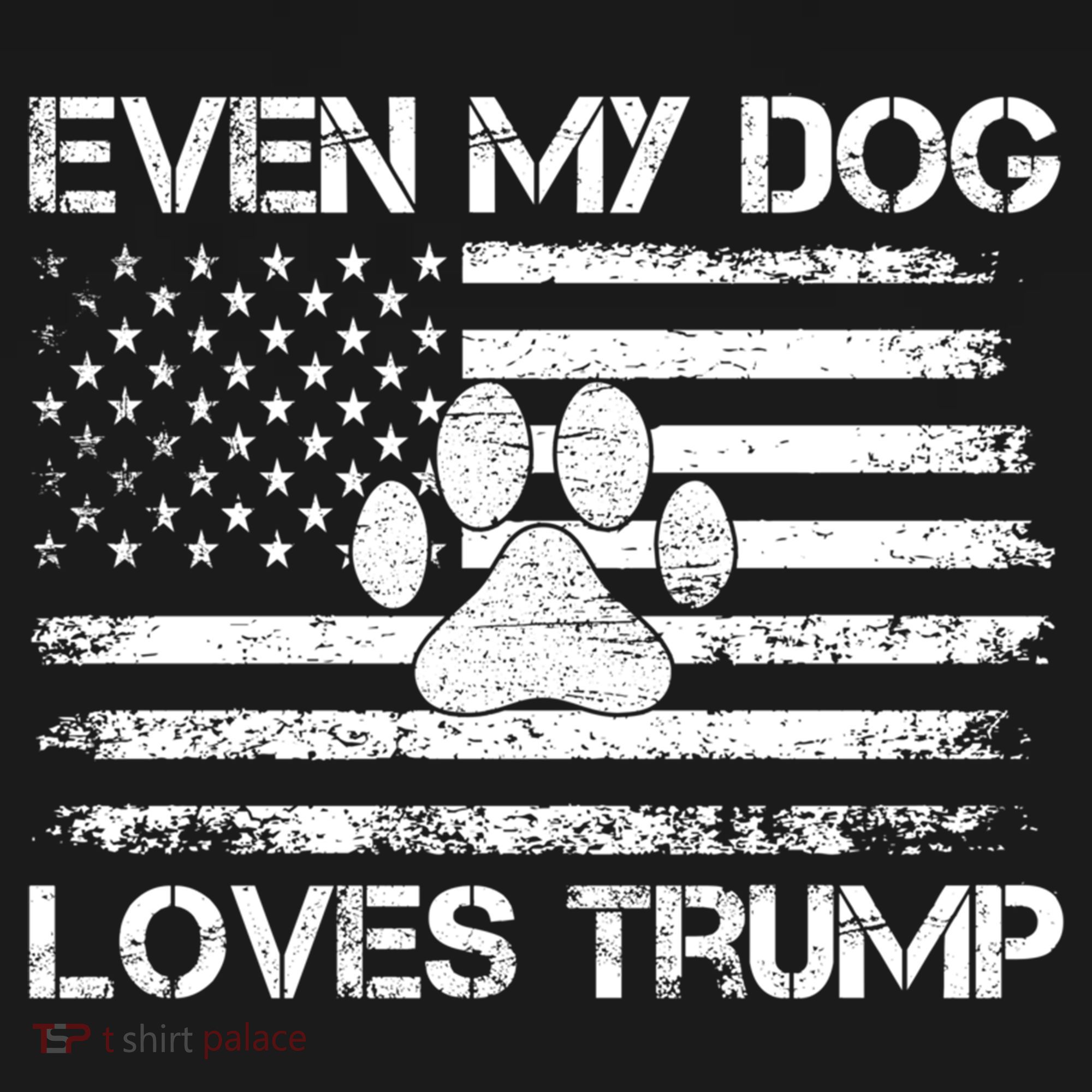 Even My Dog Loves Trump Usa Flag Election Trump Support Gift Women's Hoodie
