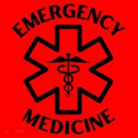 Emergency Medicine Doctor Nurse Medical Caduceus Gift Santa Hat thumb 1