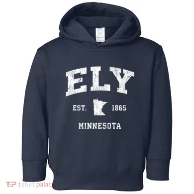 Toddler Hoodie