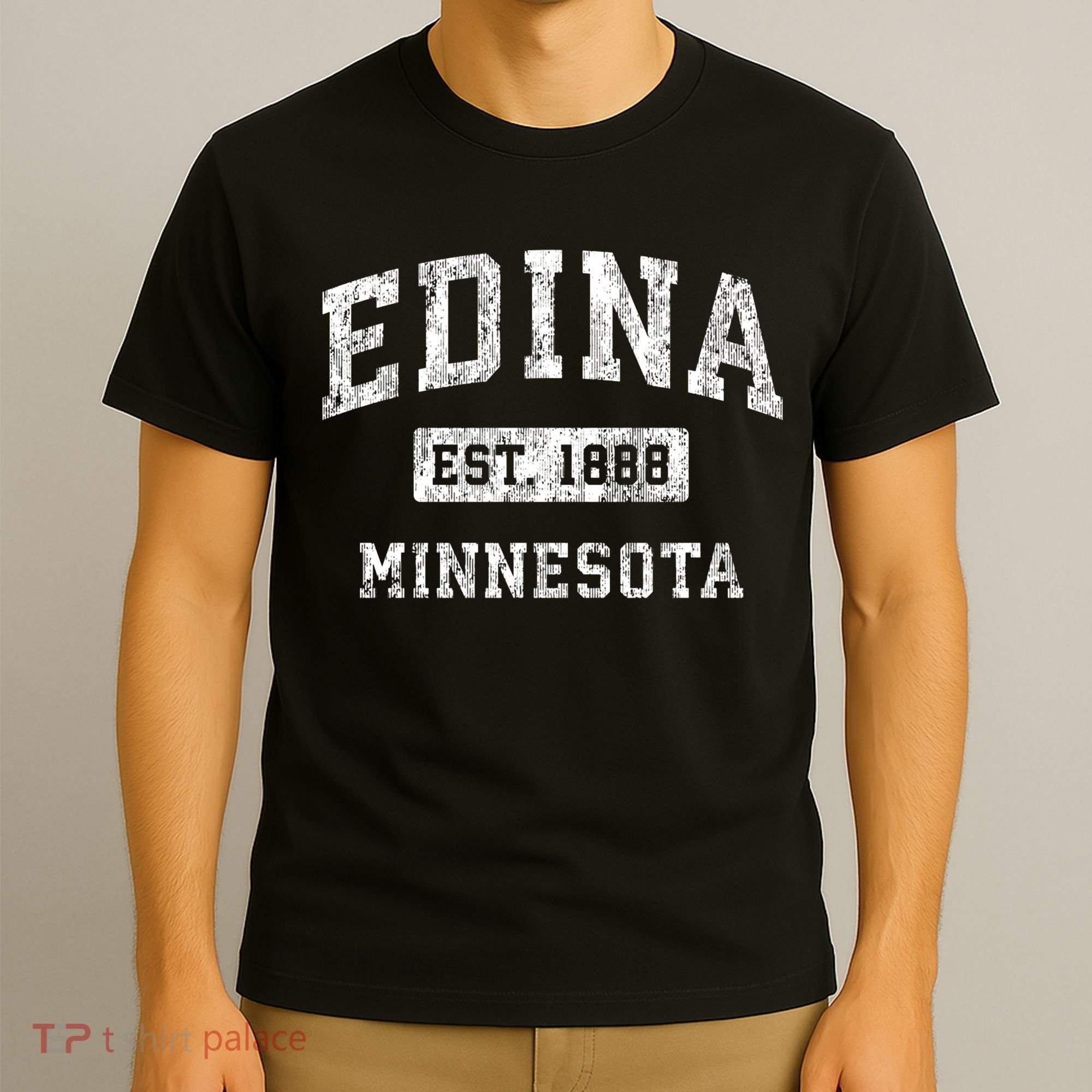 Edina Minnesota Mn Vintage Established Sports T-Shirt
