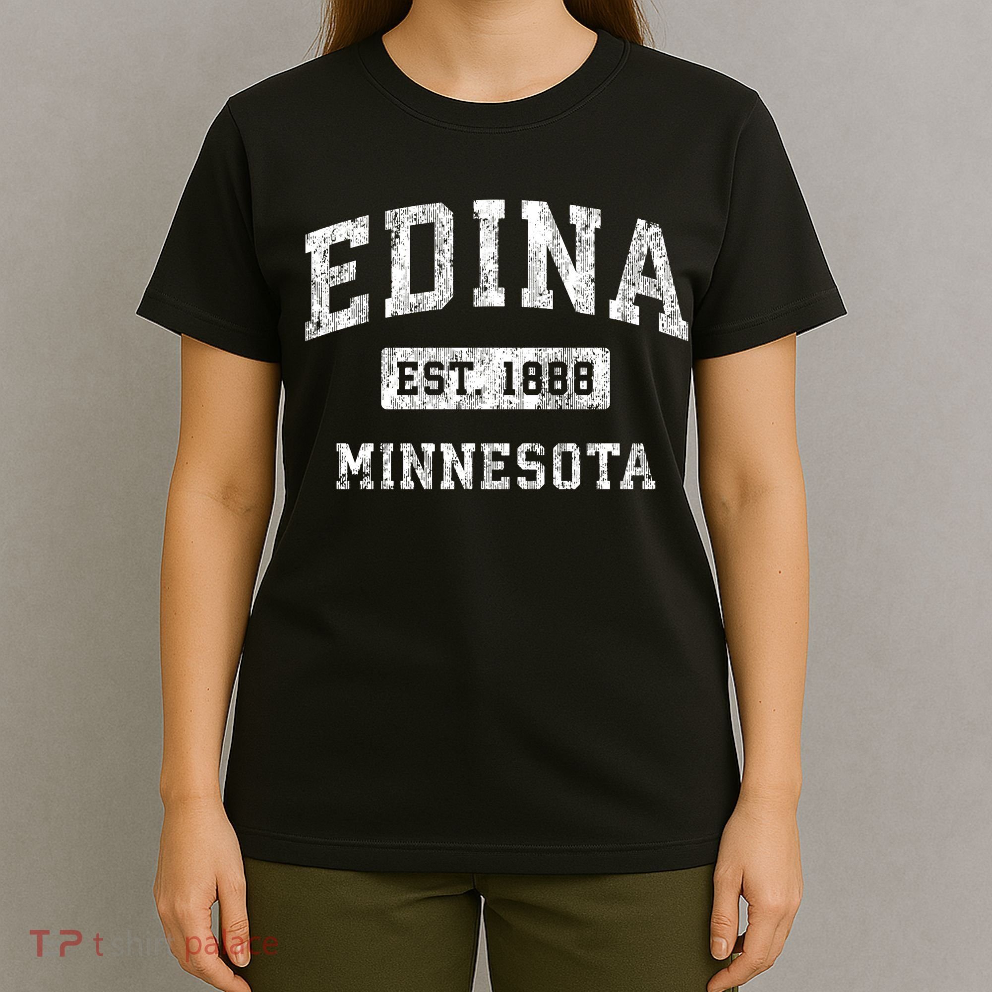 Edina Minnesota Mn Vintage Established Sports T-Shirt