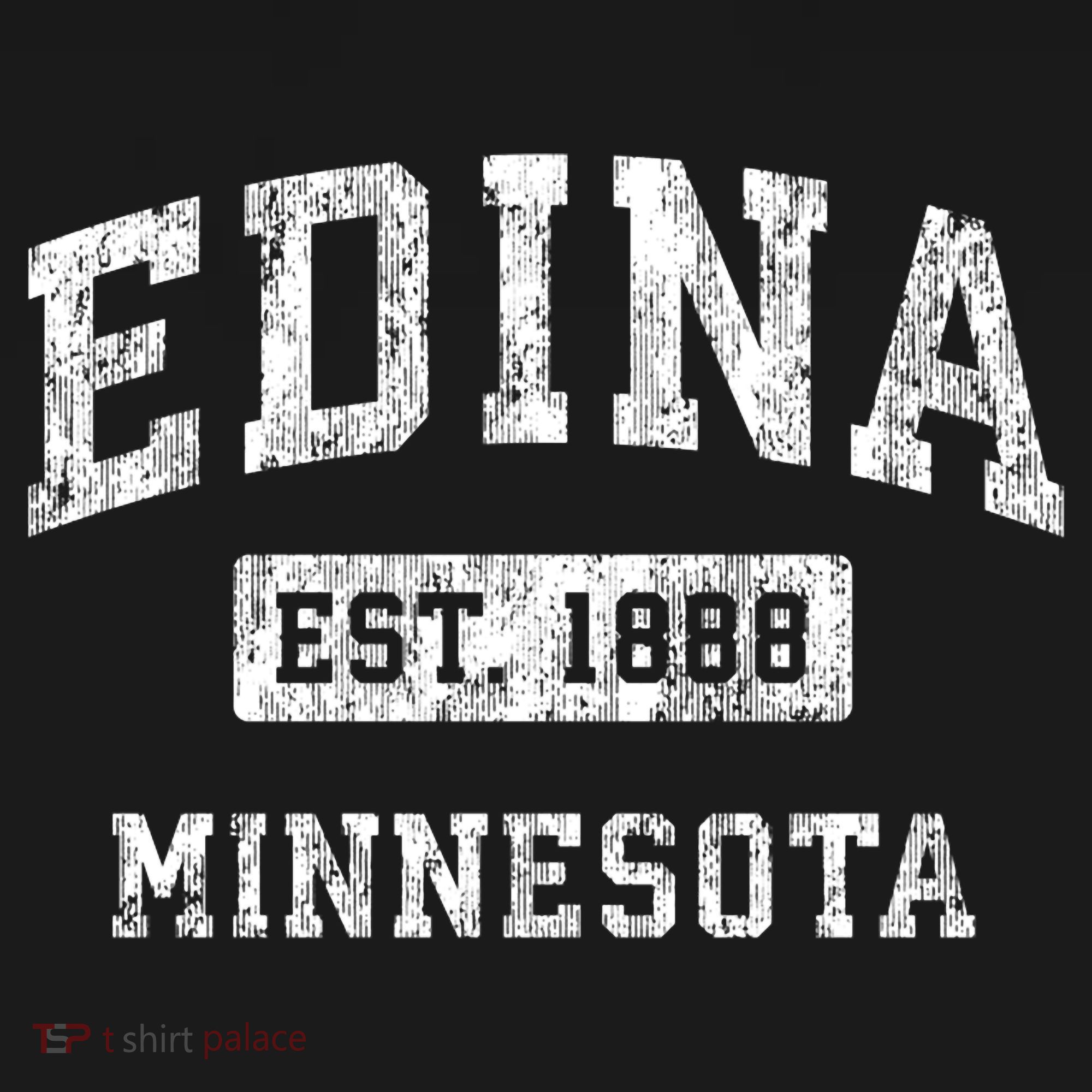 Edina Minnesota Mn Vintage Established Sports T-Shirt