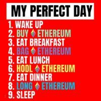 Ethereum My Perfect Day, Buy Crypto, Buy ETH, Funny Crypto Meme Santa Hat thumb 1