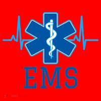 EMS Emergency Medical Services Pulse Logo Santa Hat thumb 1