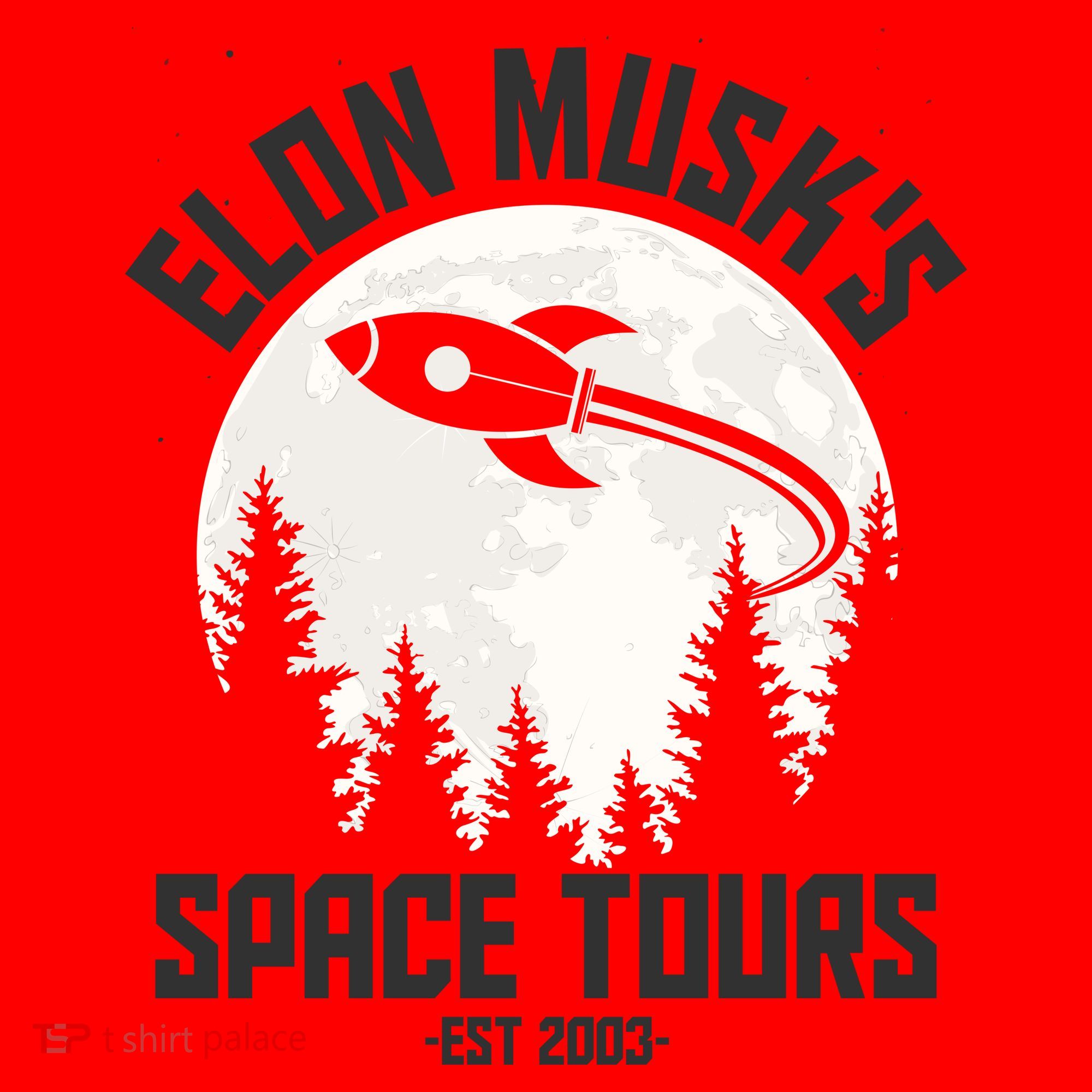 Elon Musk's Space Tours Est 2003 Santa Hat