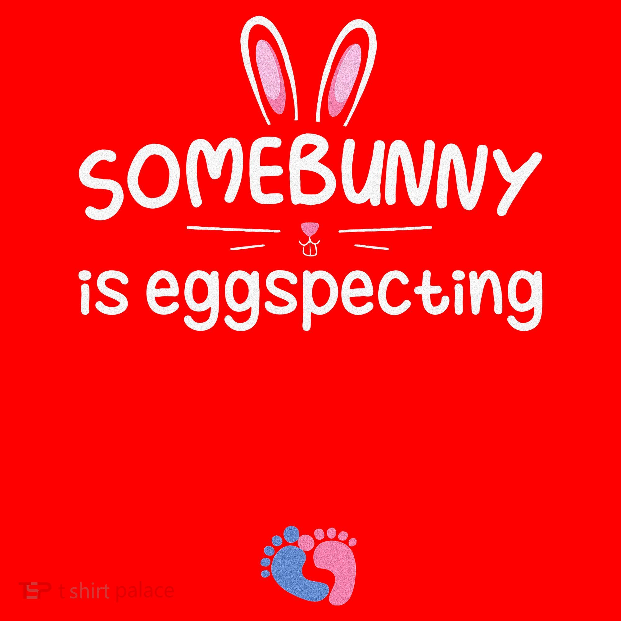 Expecting Mom Somebunny Is Eggspecting Easter Pregnancys Santa Hat