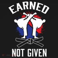 Earned Not Given Taekwondo Martial Arts Athlete Cool Gift Ornament thumb 1