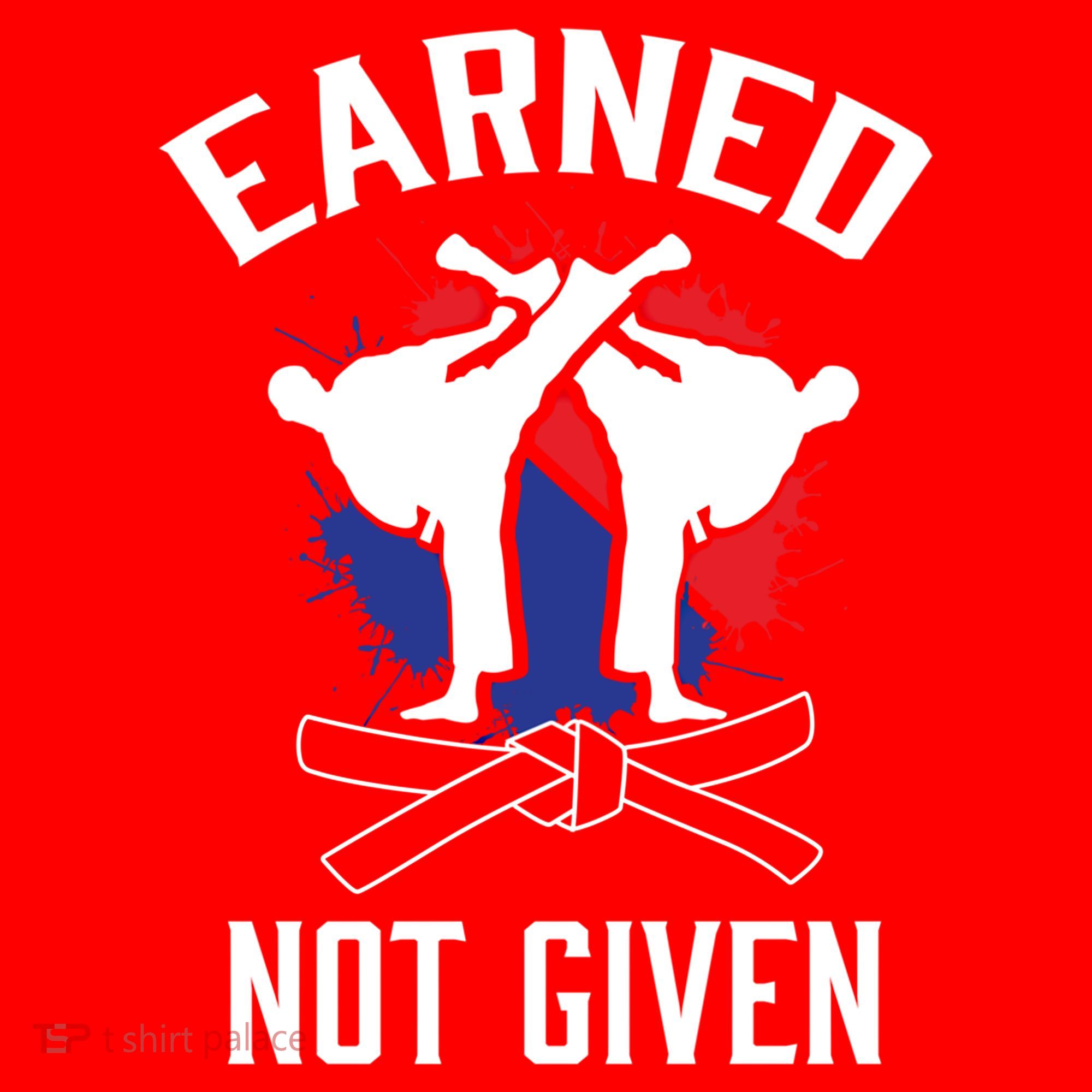 Earned Not Given Taekwondo Martial Arts Athlete Cool Gift Santa Hat