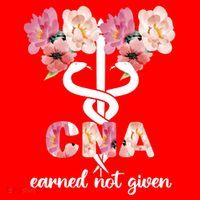 Earned Not Given Cna Nurse Certified Nursing Assistant Meaningful Gift Santa Hat thumb 1