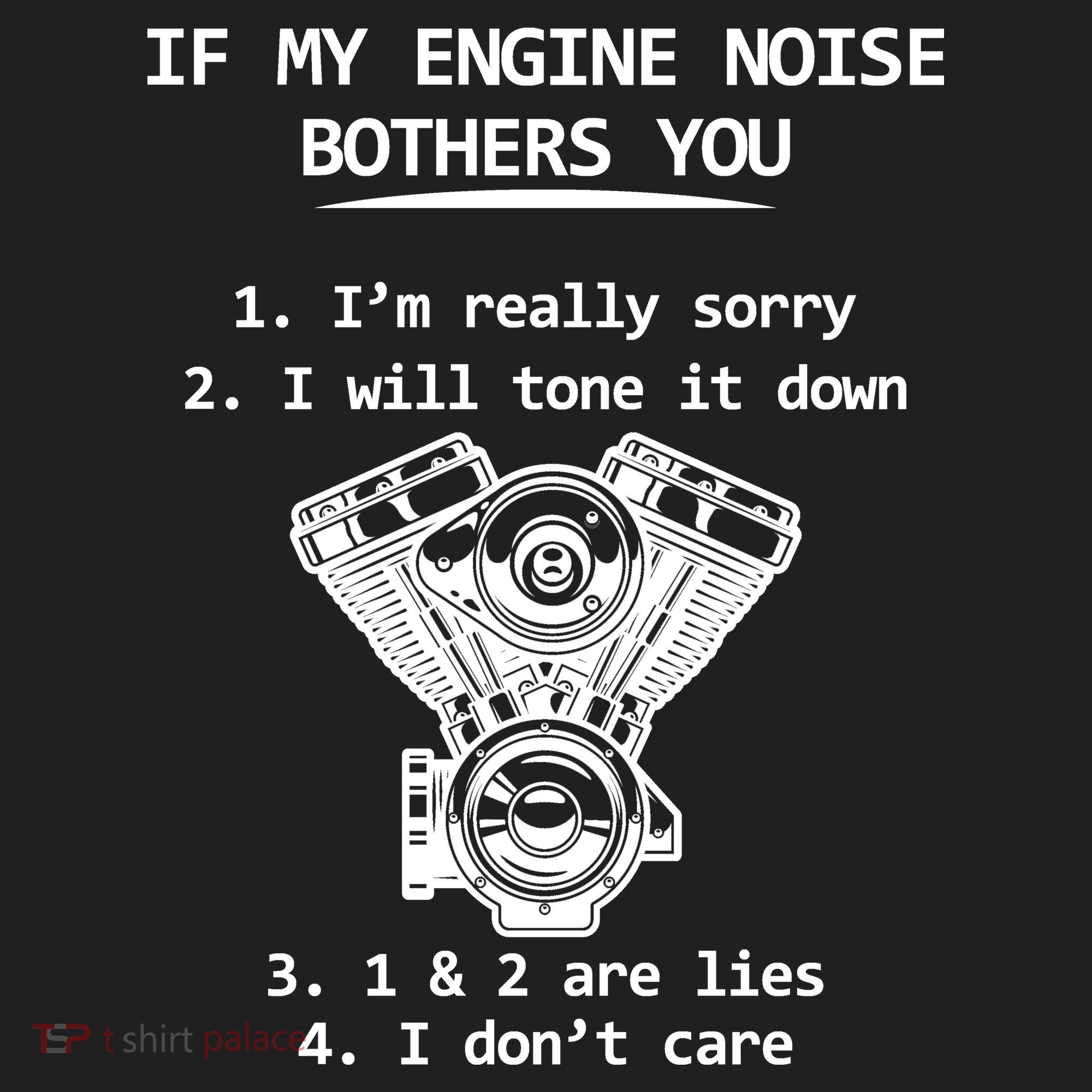 Engine Noise Bothering You I Don't Care Hat