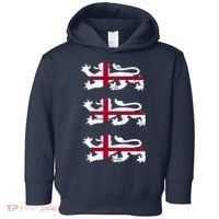 England Euro 21 English Lions Soccer Fan Flag Toddler Hoodie thumb 0