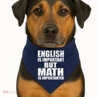 English Is Important But Math Is Importanter USA-Made Doggie Bandana thumb 1