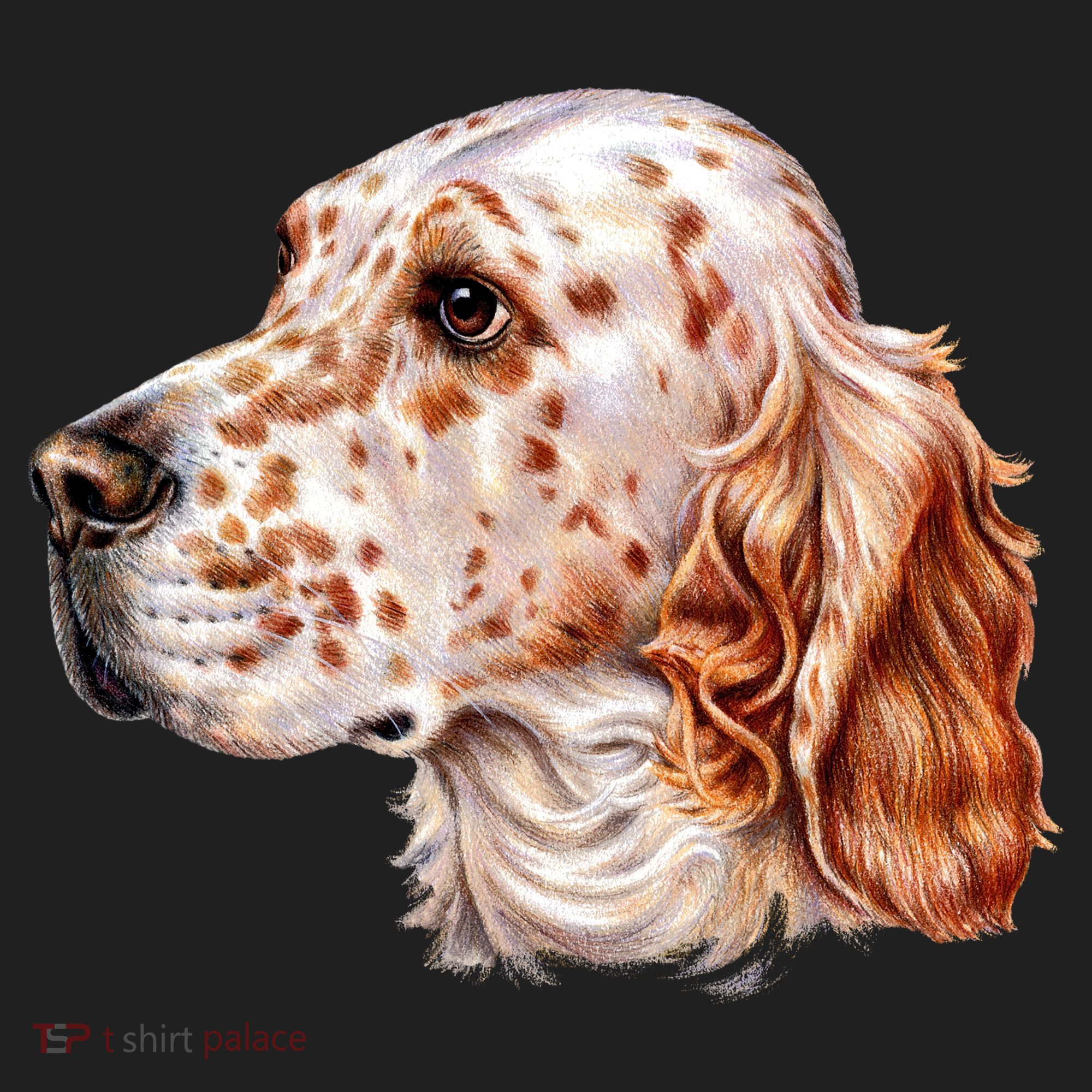 English Setter Dog Women's Sweatshirt