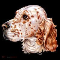 English Setter Dog Sweatshirt thumb 3