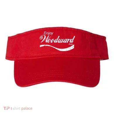 Visor