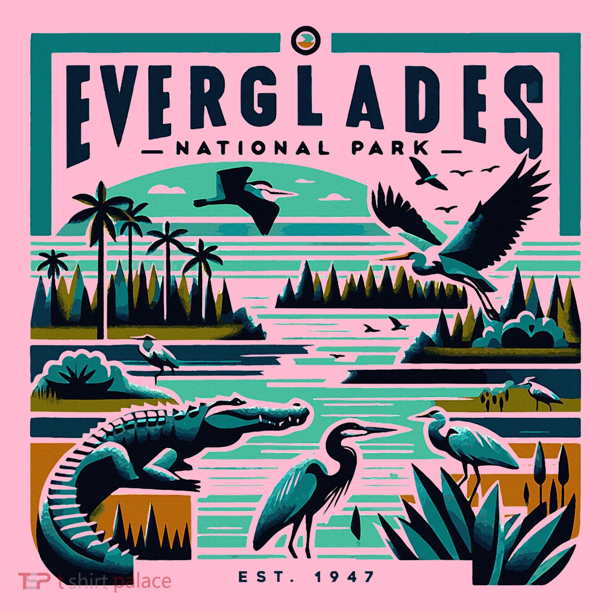 Everglades National Park Florida Modern Coaster