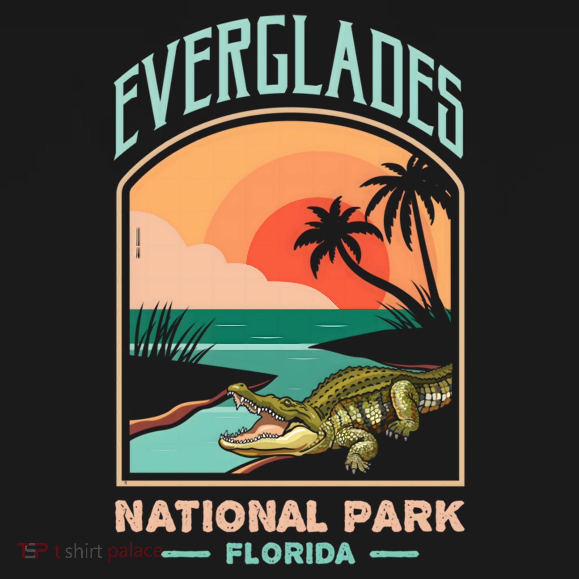 Everglades National Park Us Crocodile Florida Alligators Gift Women's Hoodie