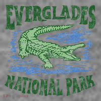 Everglades National Park Florida Retro Alligator Toddler Hoodie thumb 2