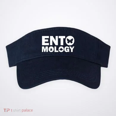 Visor