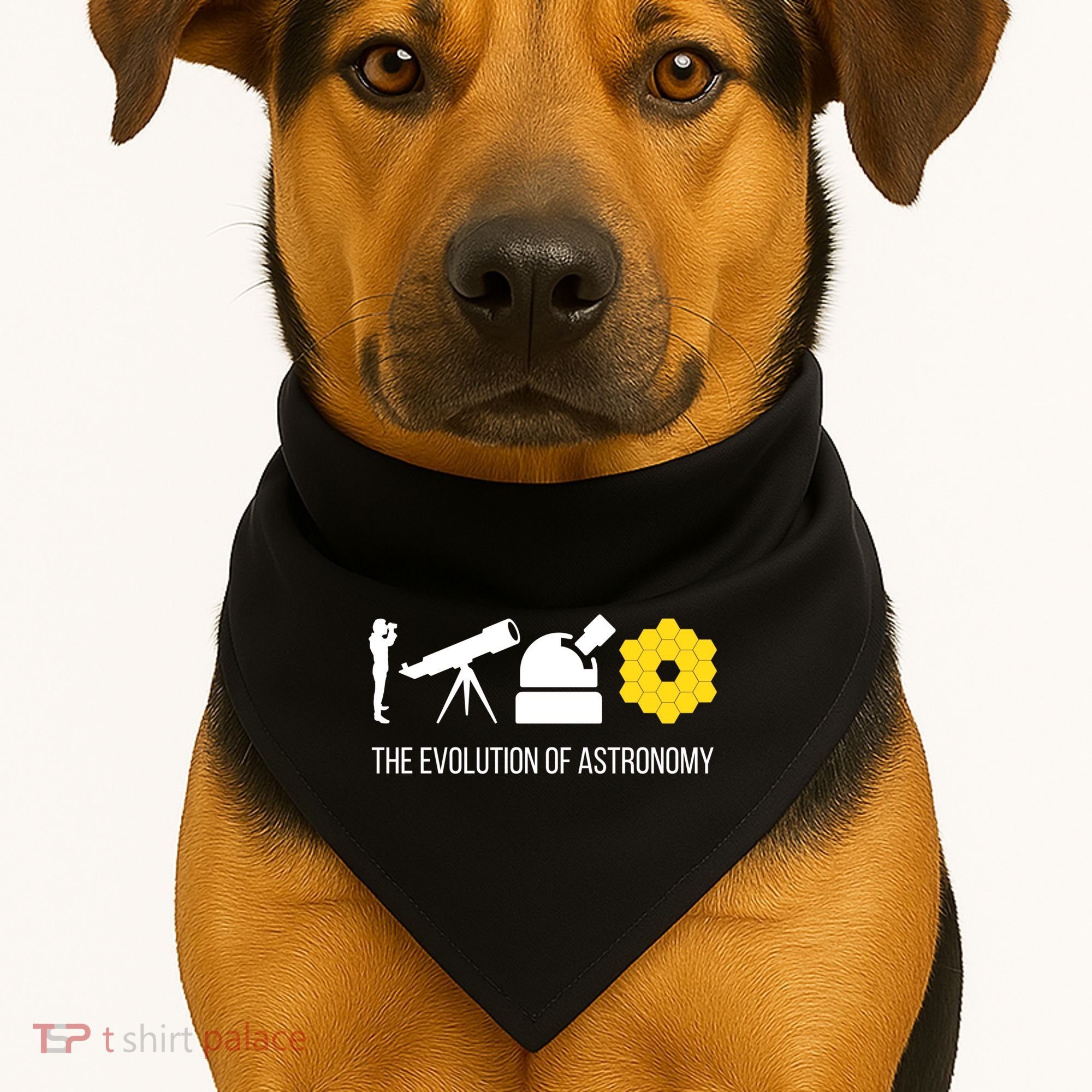 Evolution Of Astronomy Telescope James Webb Space Telescope Gift USA-Made Doggie Bandana