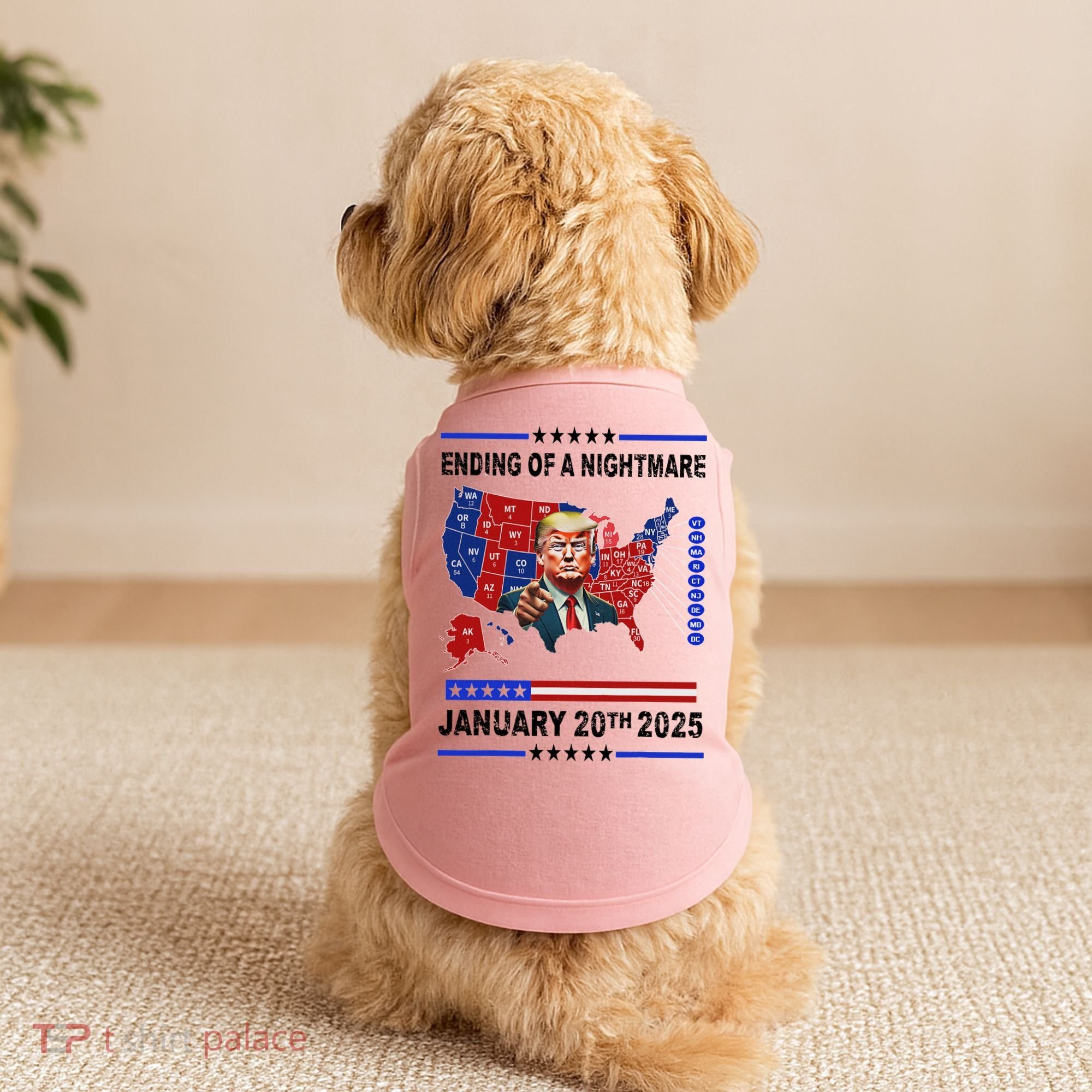 Ending Of A Nightmare January 20th 2025 Doggie Tank