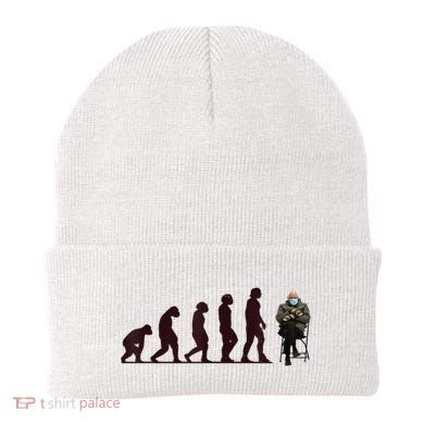 Evolution Of Bernie Sanders Mittens Meme Beanie