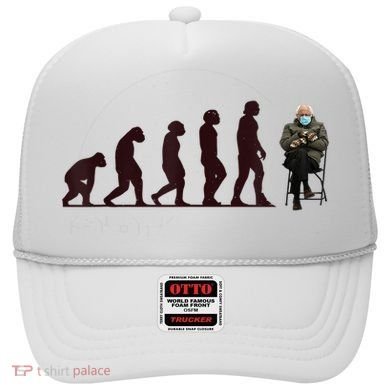 Evolution Of Bernie Sanders Mittens Meme Hat