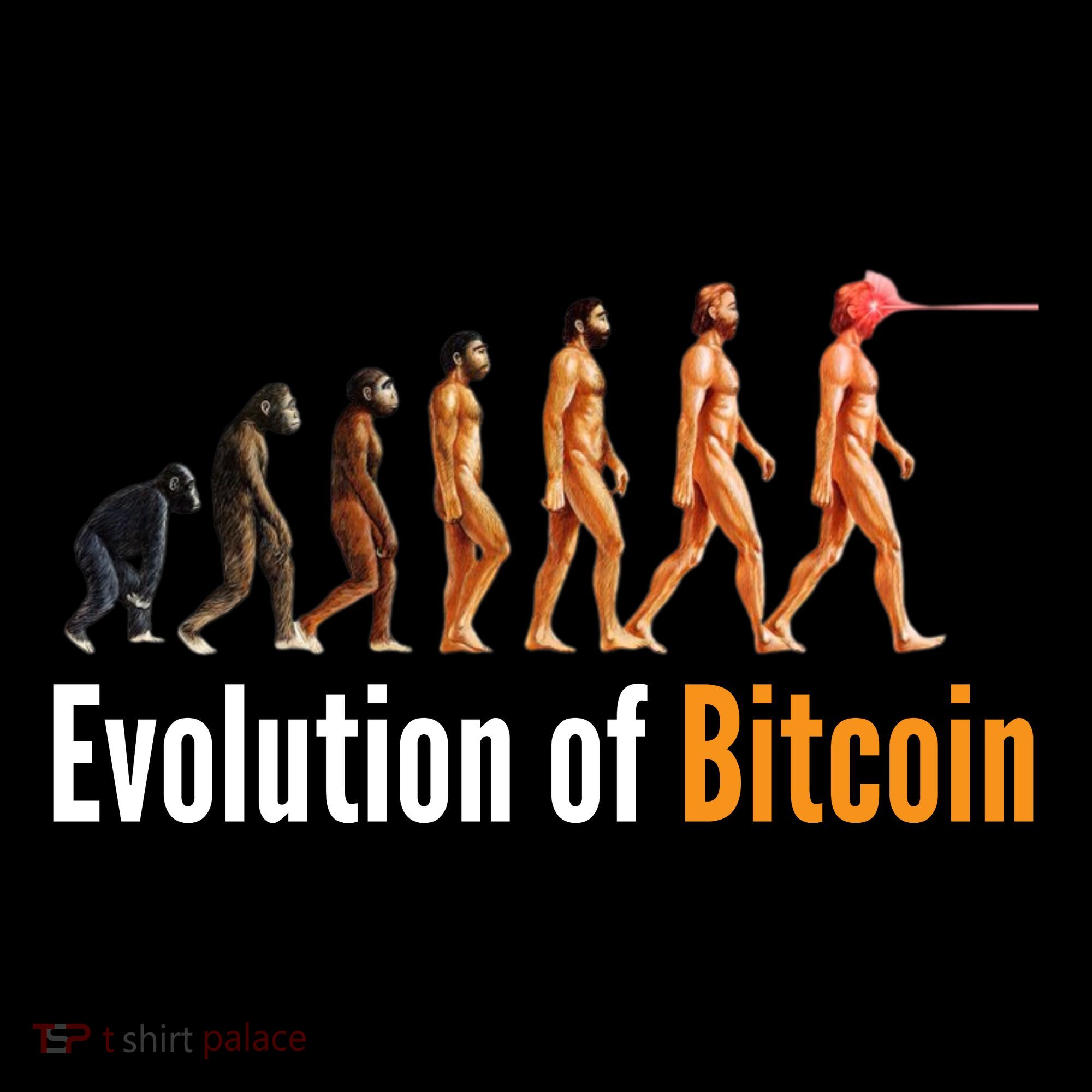Evolution Of Bitcoin, Ape To Man, Crypto, Cryptocurrency, HODL Bitcoin Women's Hoodie