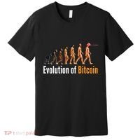 Evolution Of Bitcoin, Ape To Man, Crypto, Cryptocurrency, HODL Bitcoin Premium T-Shirt thumb 0