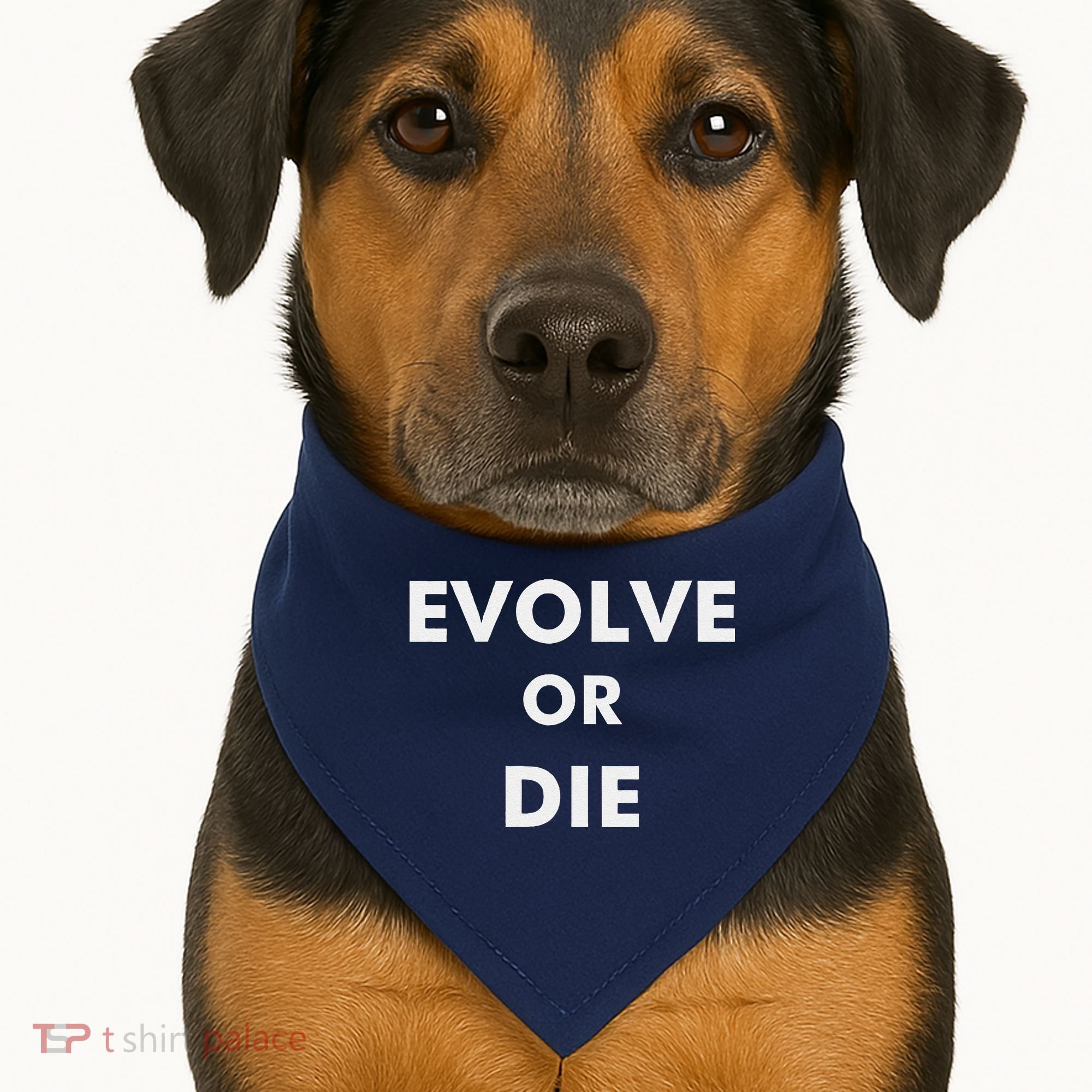 Evolve Or Die Funny Quote USA-Made Doggie Bandana