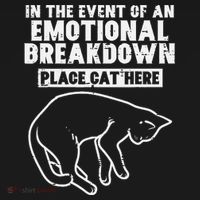 Event Of Emotional Breakdown Place Cat Here Cute Men Women Long Sleeve Shirt thumb 2
