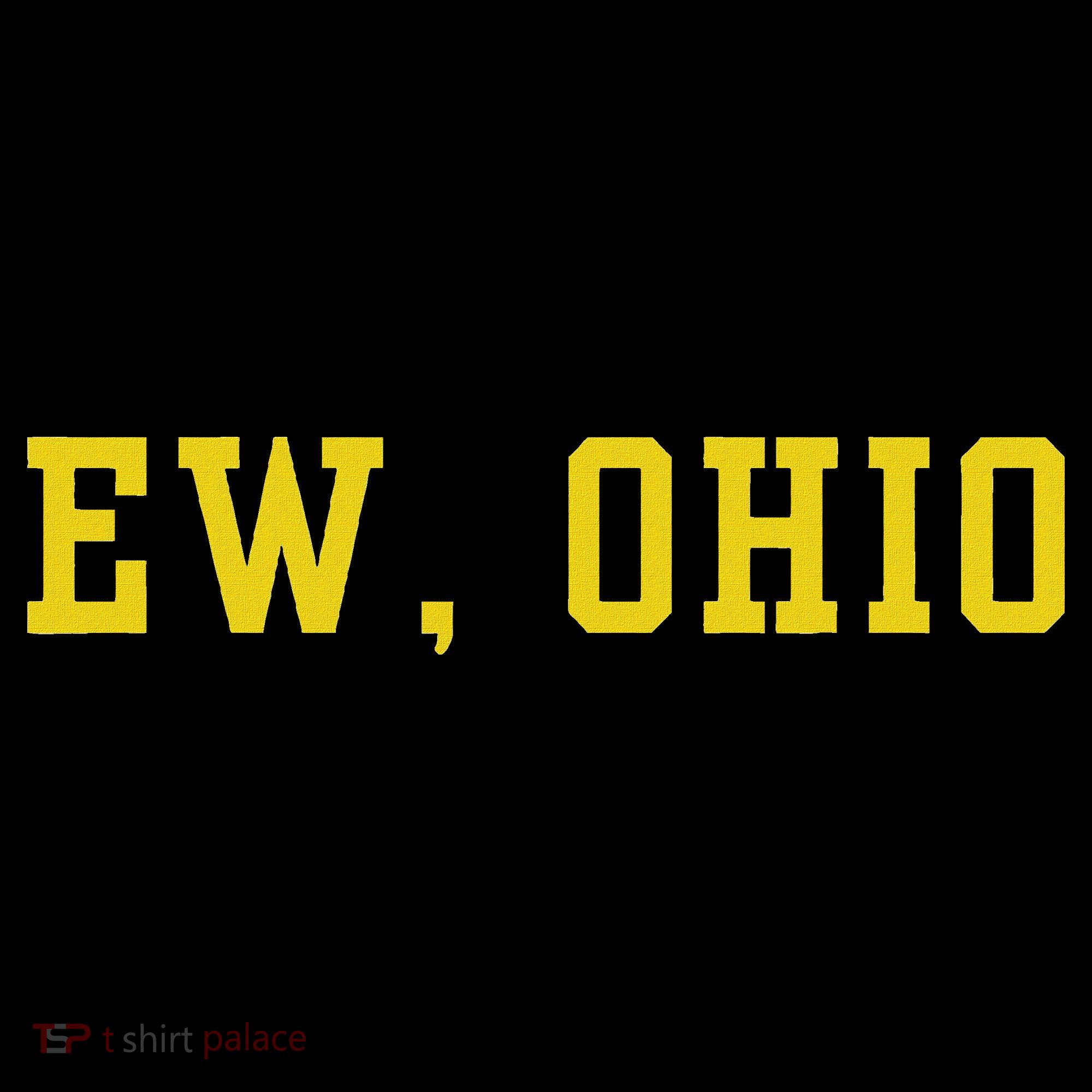 Ew Ohio Generation Z & Gen Alpha Brain Rot Funny Slang Stripe Pom Pom Beanie