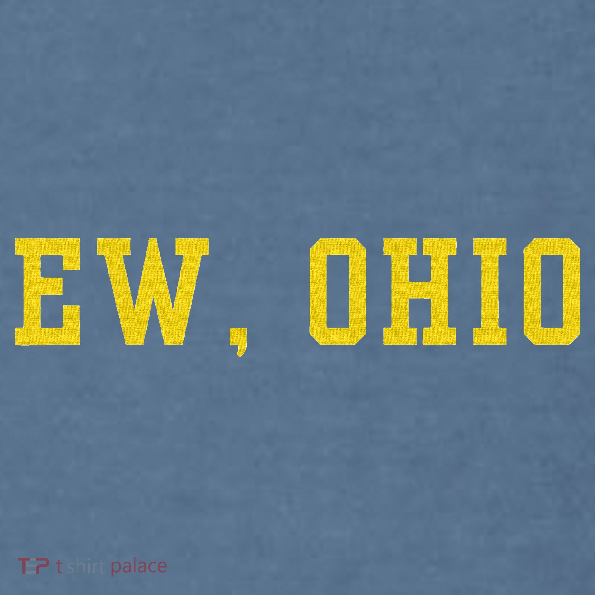 Ew Ohio Generation Z & Gen Alpha Brain Rot Funny Slang Comfort Colors Garment-Dyed Hooded Sweatshirt