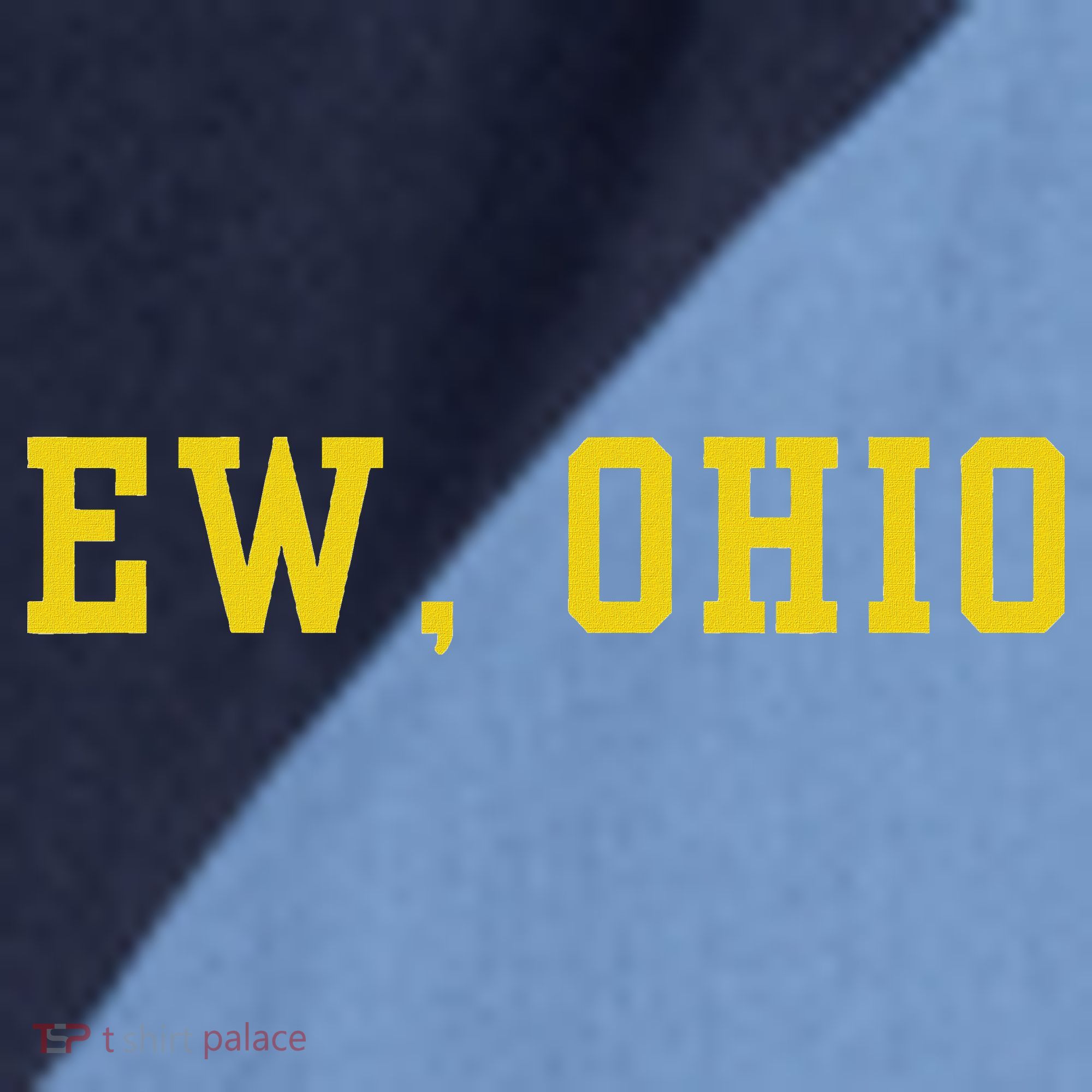 Ew Ohio Generation Z & Gen Alpha Brain Rot Funny Slang Raglan Baseball Sleeve Shirt