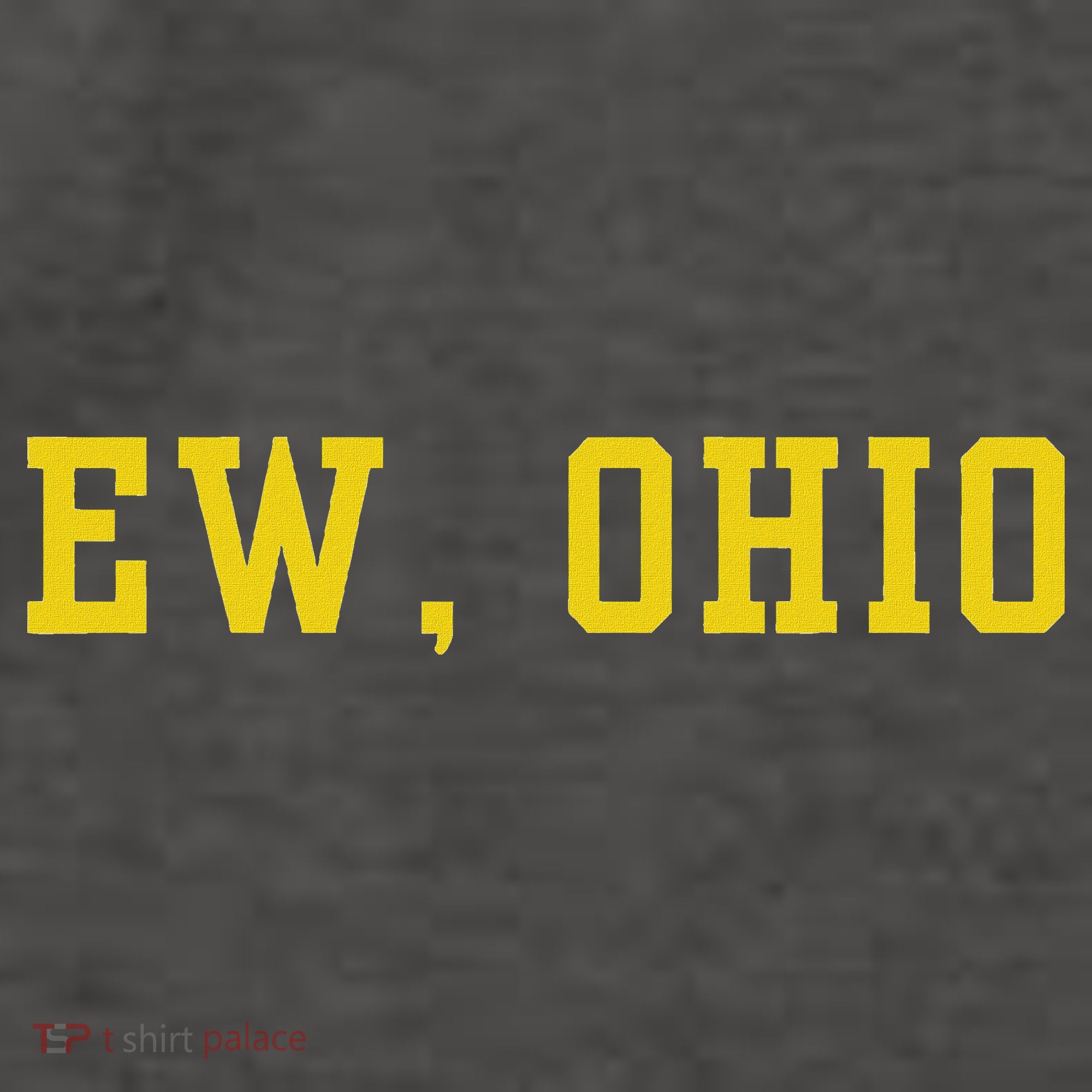 Ew Ohio Generation Z & Gen Alpha Brain Rot Funny Slang Vector Backpack