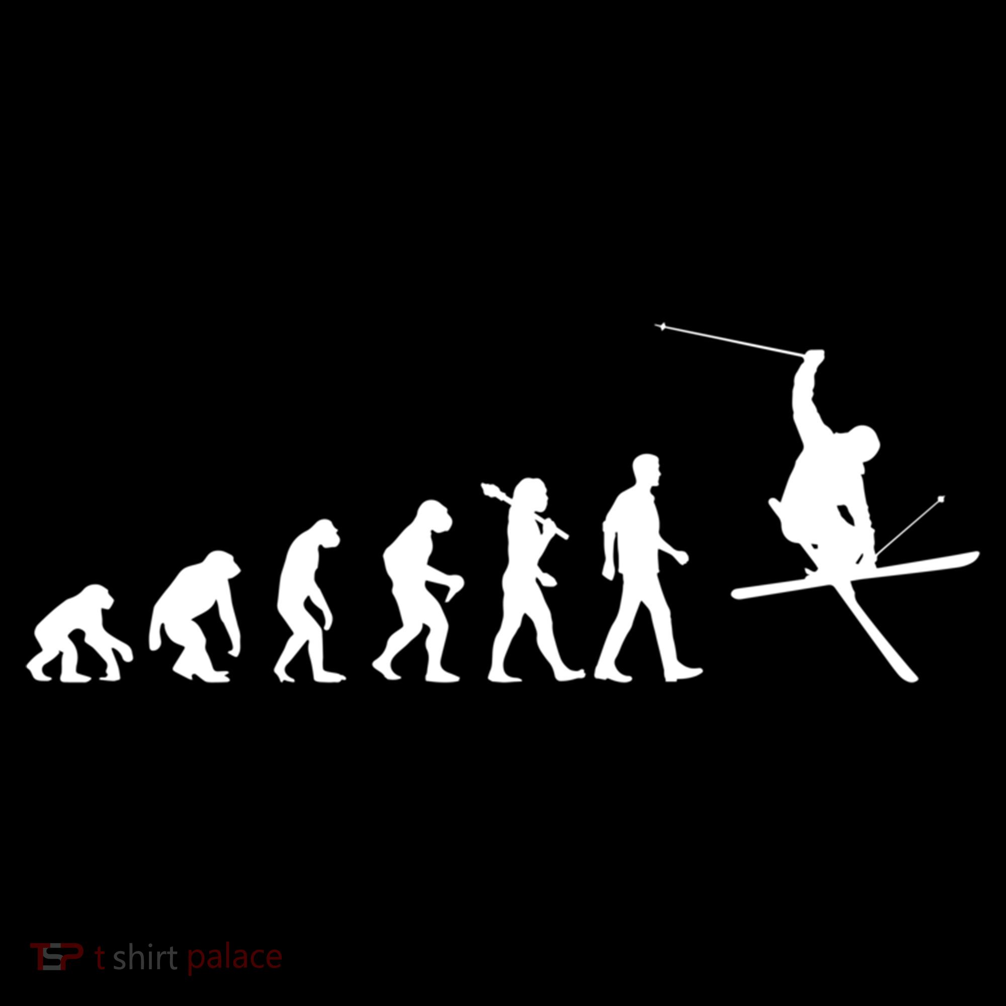 Evolution Of Skiing Cool Gift Ornament
