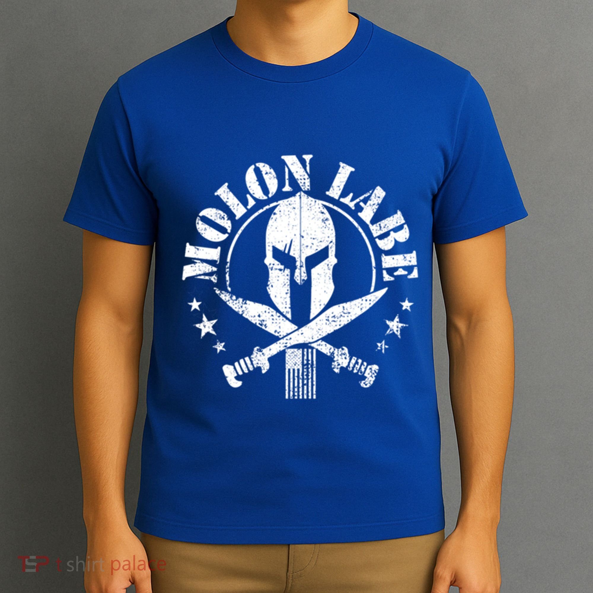 Epic Patriotic American Flag Molon Labe Spartan Military Funny Gift T-Shirt
