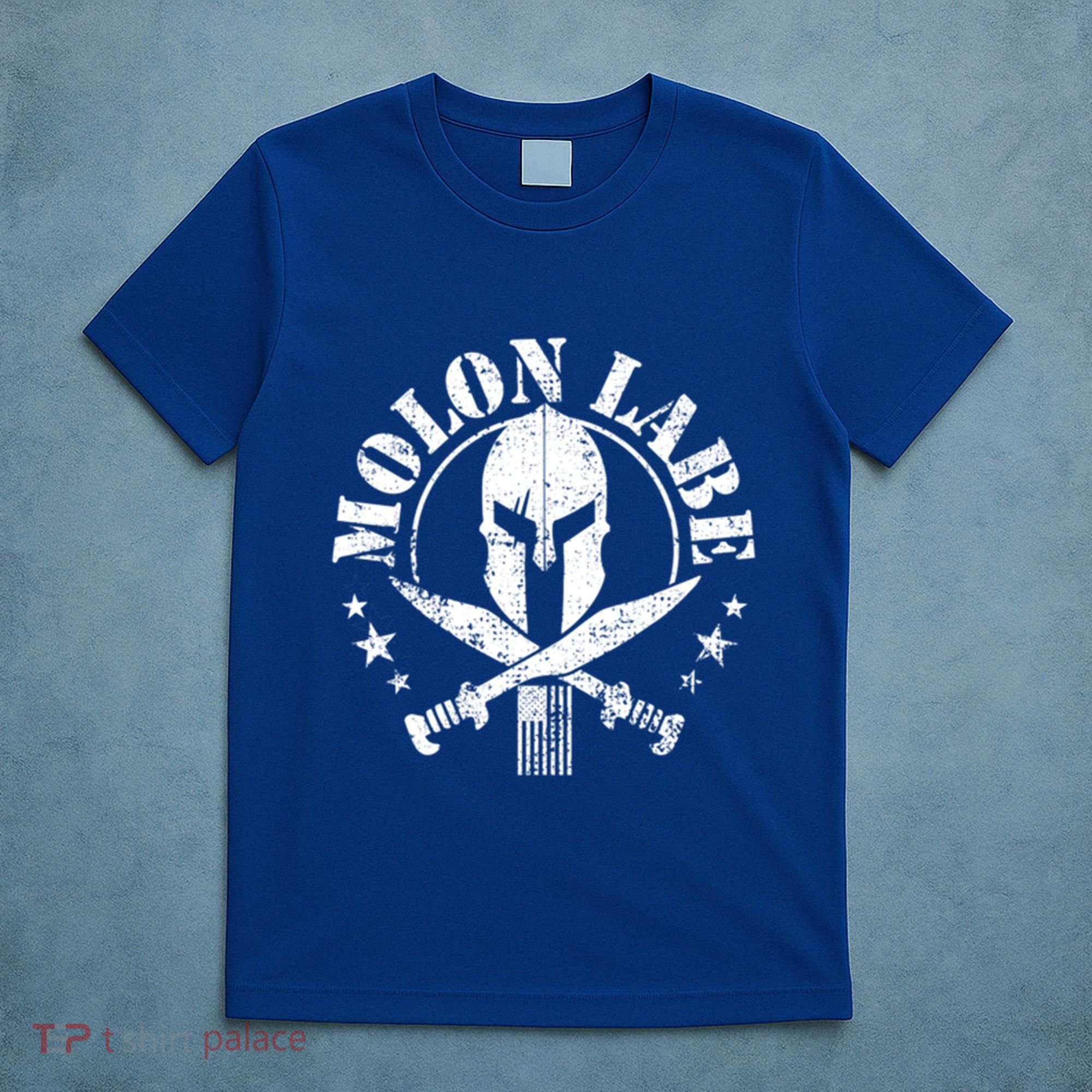 Epic Patriotic American Flag Molon Labe Spartan Military Funny Gift T-Shirt