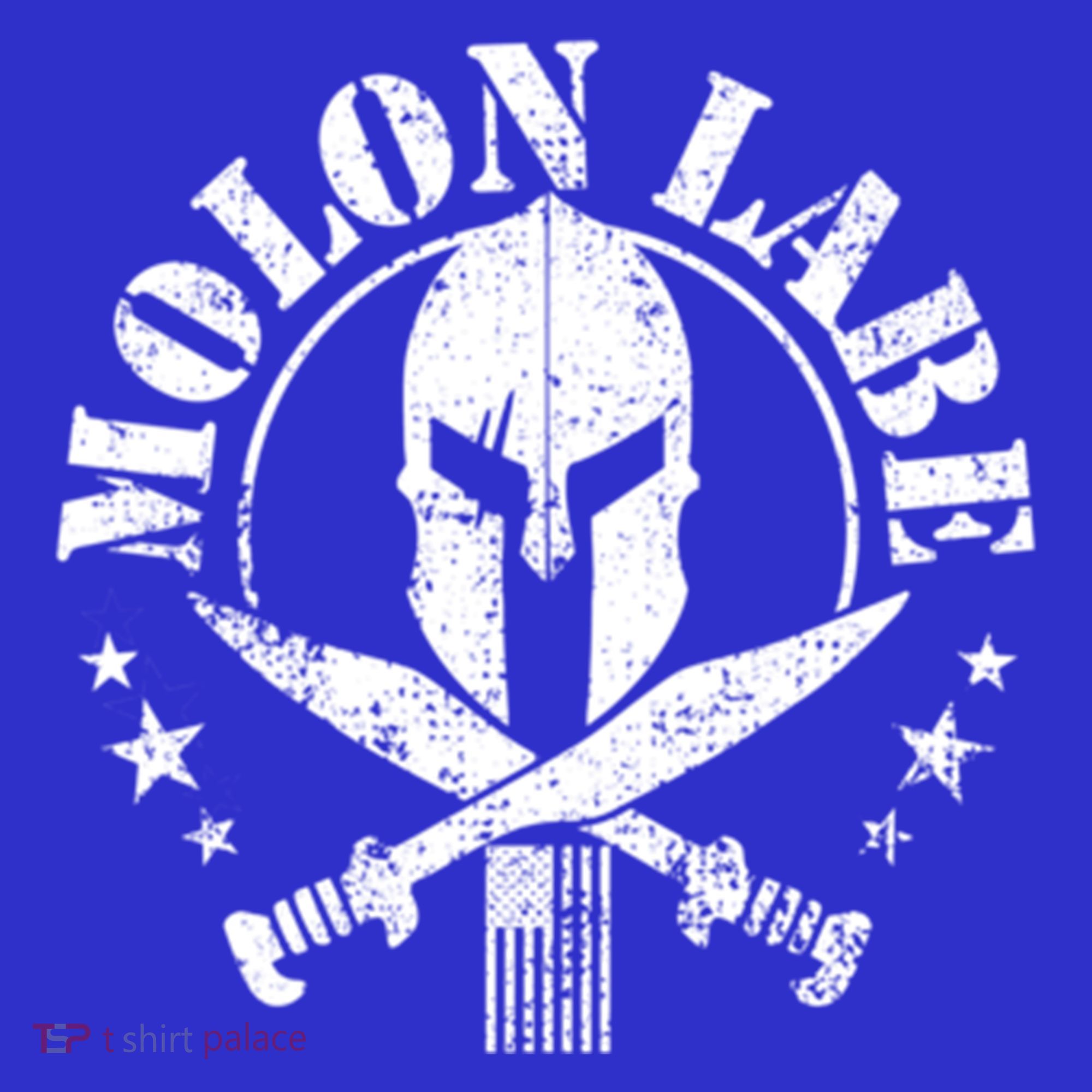 Epic Patriotic American Flag Molon Labe Spartan Military Funny Gift Tank Top