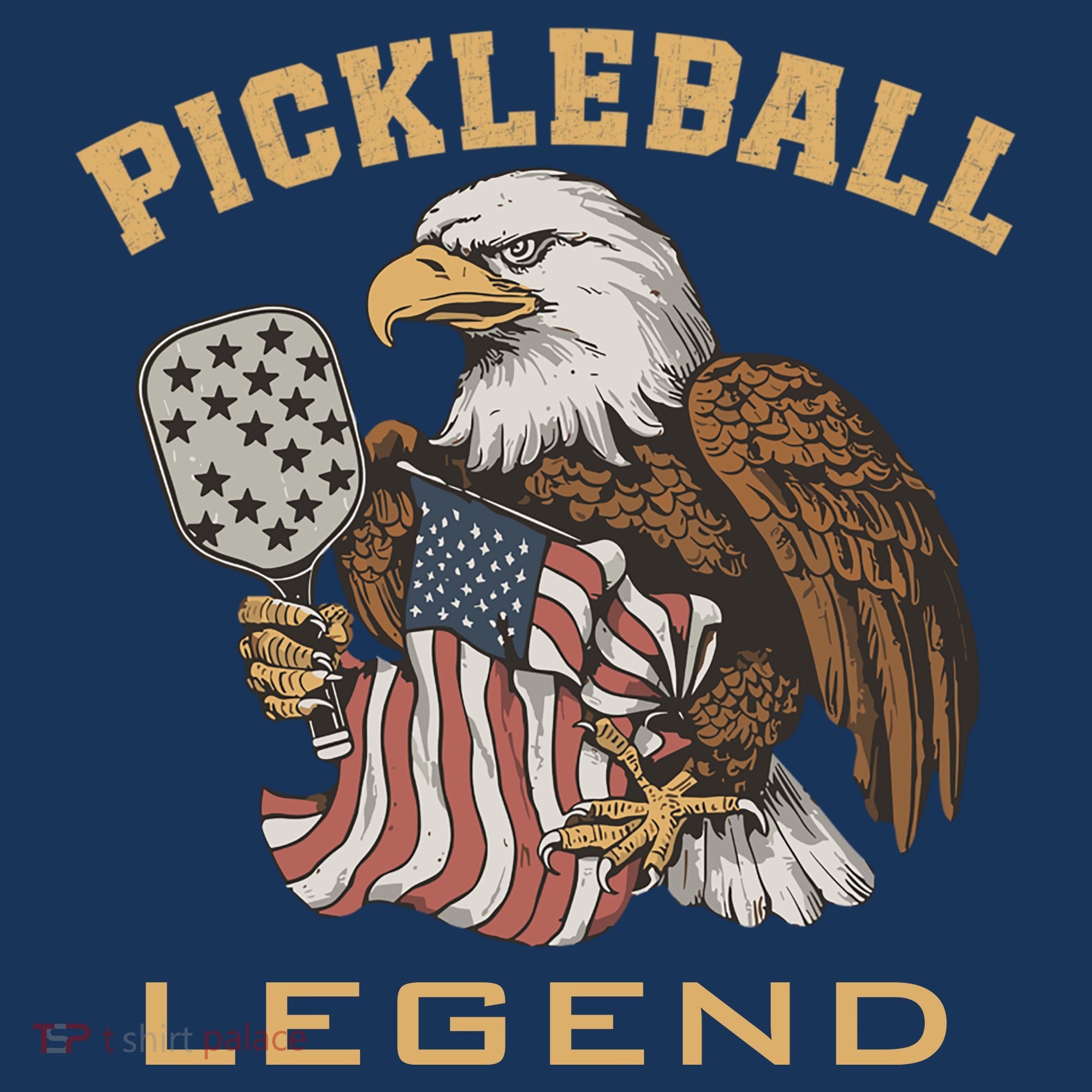 Eagle Paddleball Lover Usa Eagle American Pickleball Player Women's Hoodie