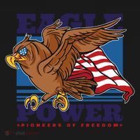 Eagle Power Pioneers Of Freedom American Flag Ornament thumb 1