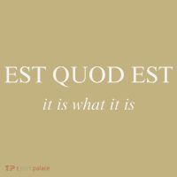 Est Quod Est - It Is What It Is Funny Latin Language Kids T-Shirt thumb 2